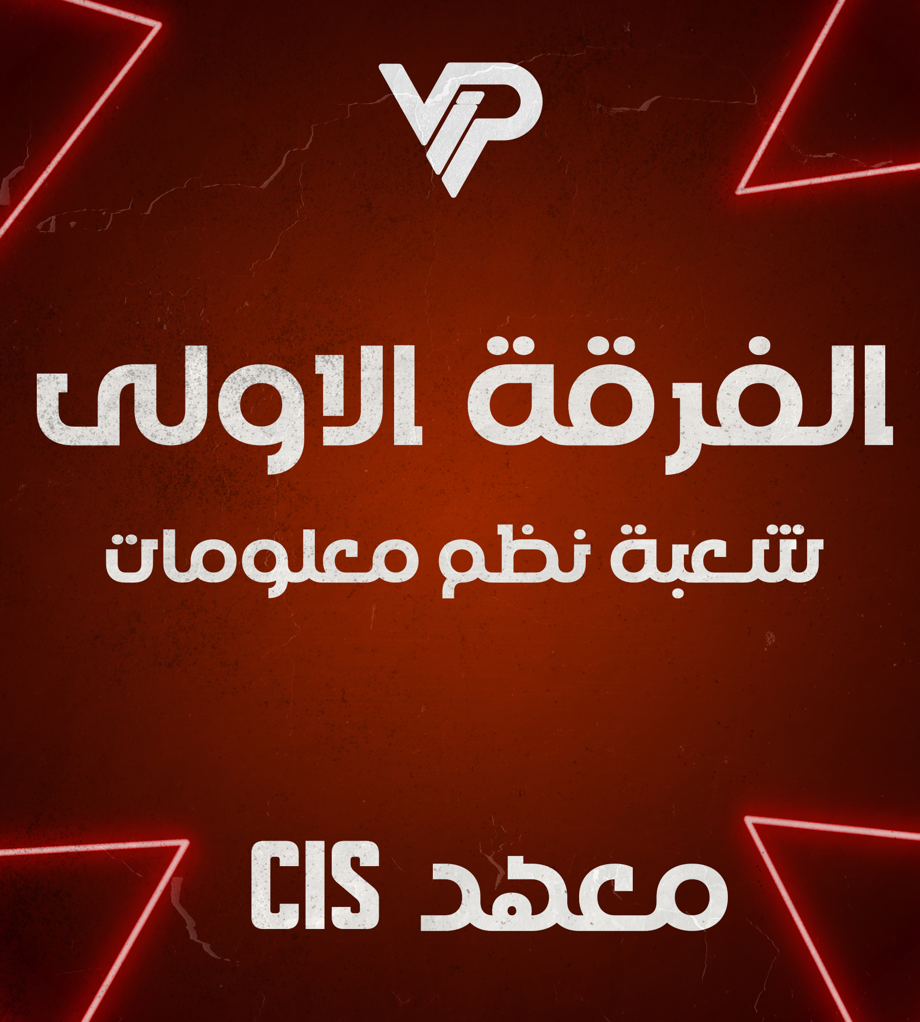 شعبة نظم معلومات